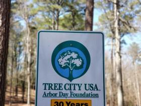 Tree City USA