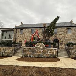 Christmas tree being installed at Jasper City Hall