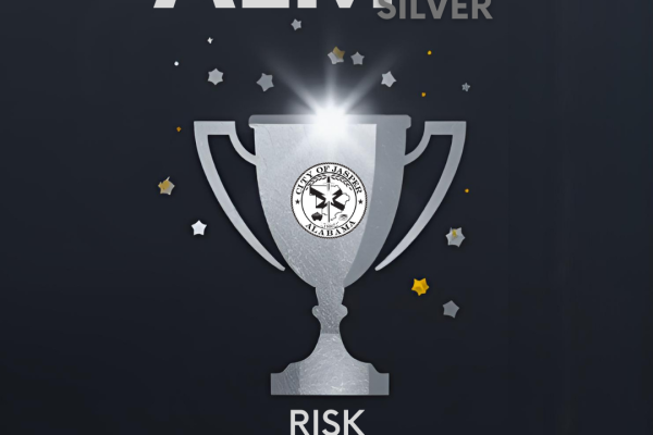 ALM Silver Risk Management Award graphic
