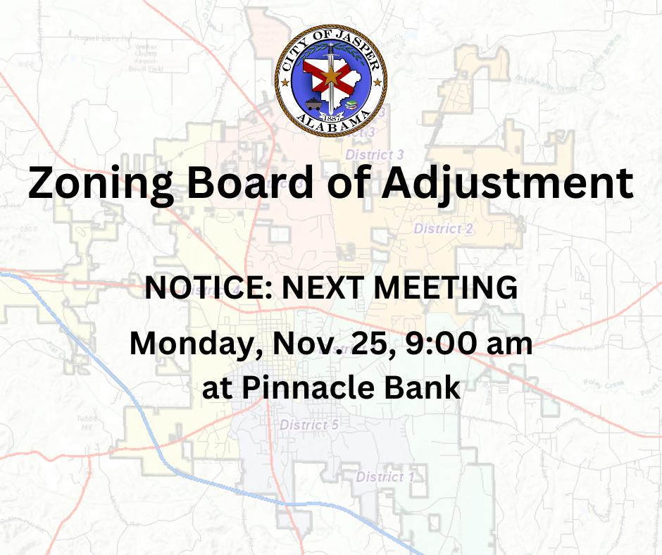 zoning board of adjustment