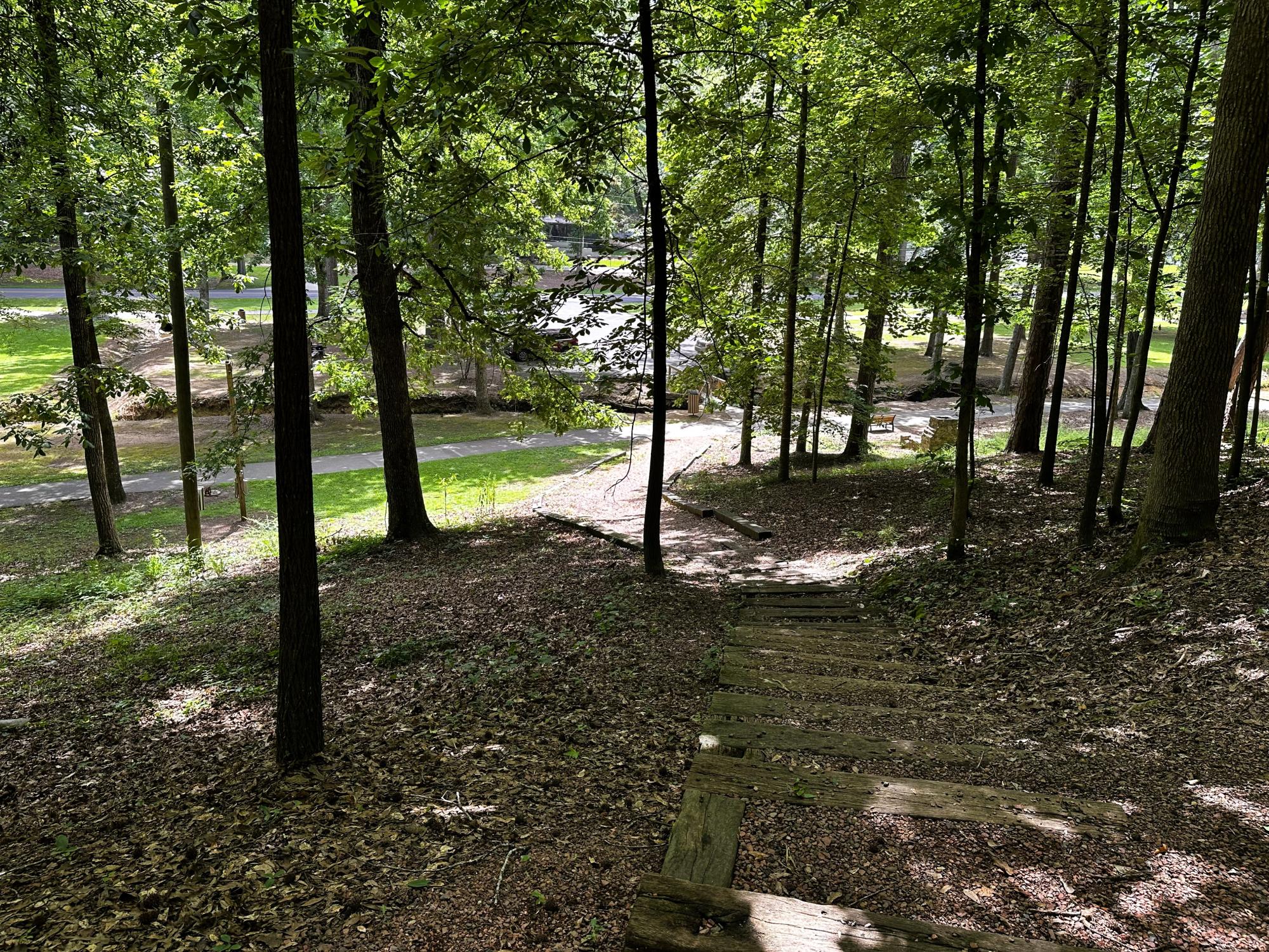 Gamble Park walking path looking down 