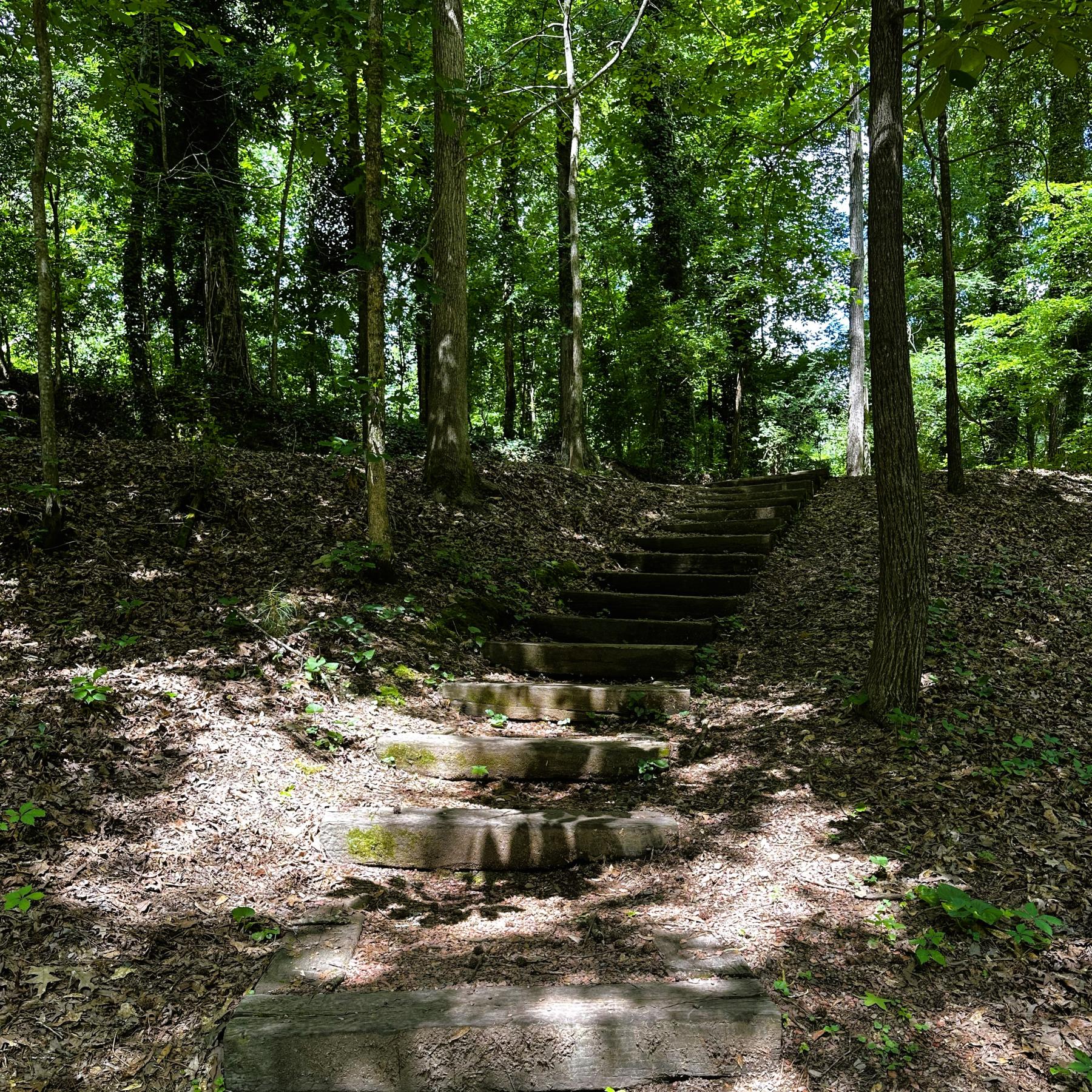 Gamble Park walking path stairs looking up