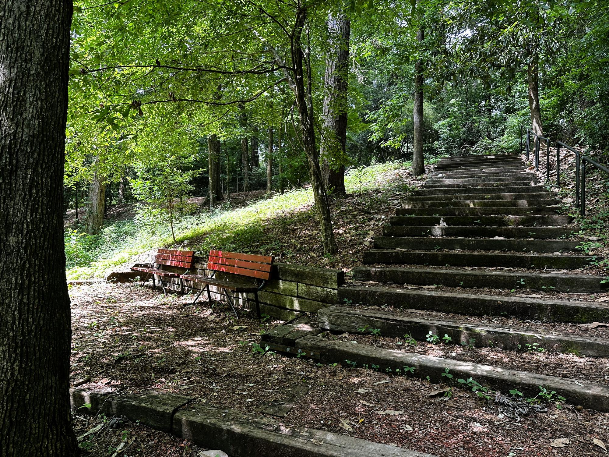 Gamble Park walking path with bench