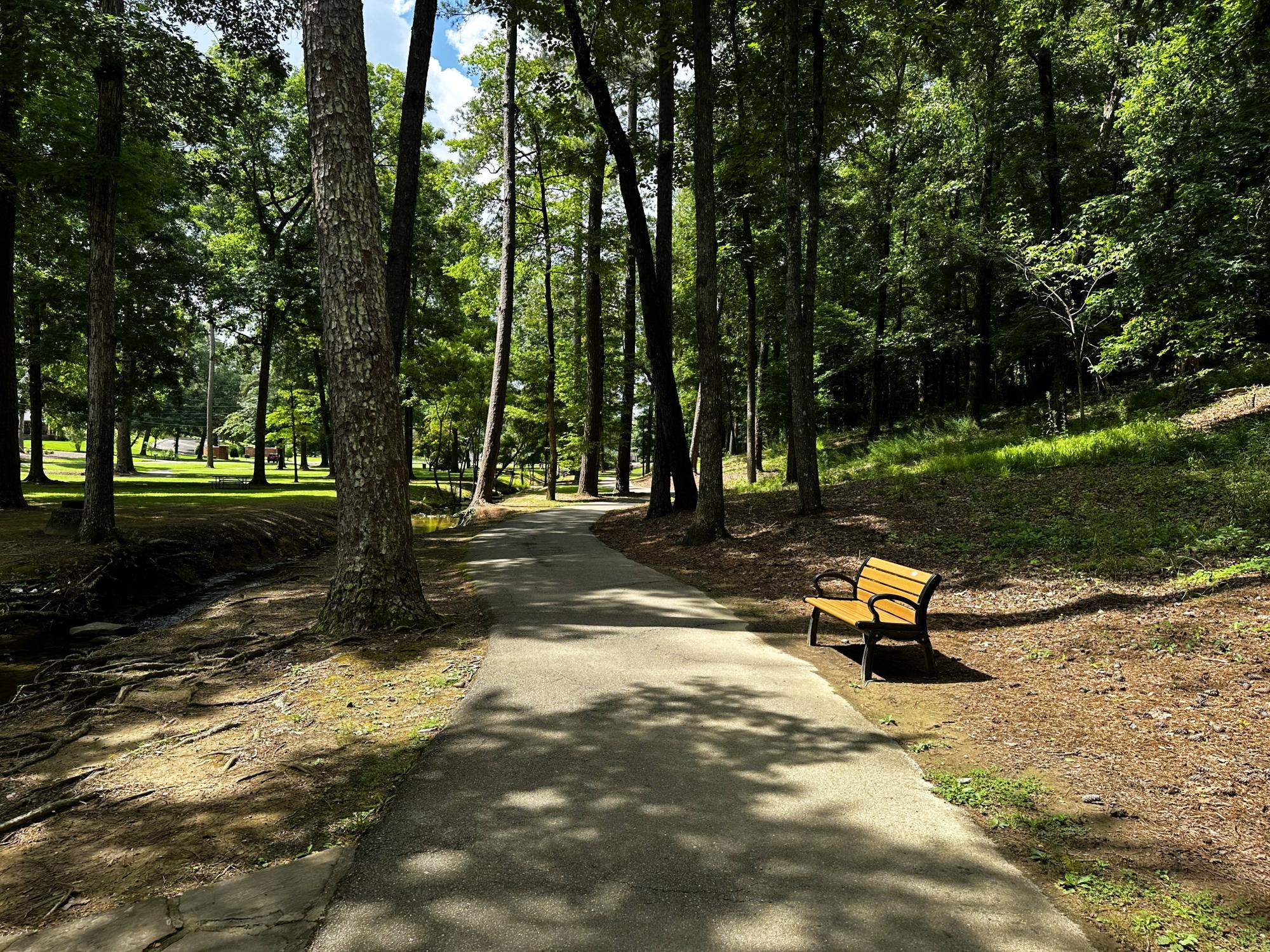 Gamble Park walking path with bench